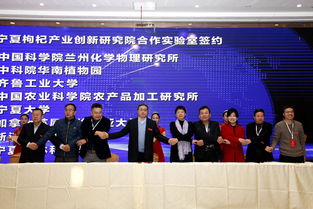 宁夏中宁枸杞产业创新研究院项目发布签约暨学术交流会成功举办，工商事务代理助力产业发展