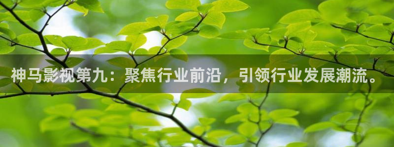 金桔电影网