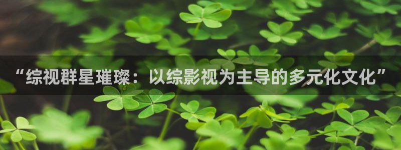 金桔视频大全：“综视群星璀璨：以综影视为主导的多元化文化”
