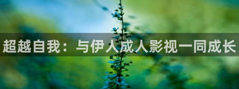 金桔影视下载安装视频：超越自我：与伊人成人影视一同成长
