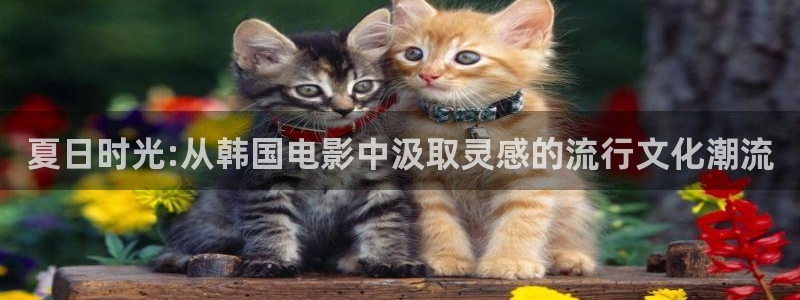 金桔柠檬汁视频：夏日时光:从韩国电影中汲取灵感的流行文化潮流