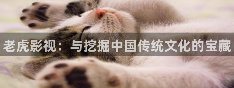 金桔直播视频观看