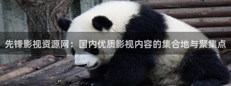 金桔柠檬汁视频：先锋影视资源网：国内优质影视内容的集合地与聚集点