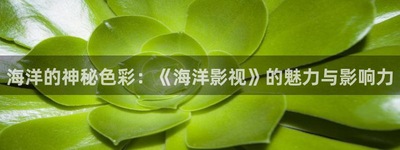 金桔柠檬汁视频：海洋的神秘色彩：《海洋影视》的魅力与影响力