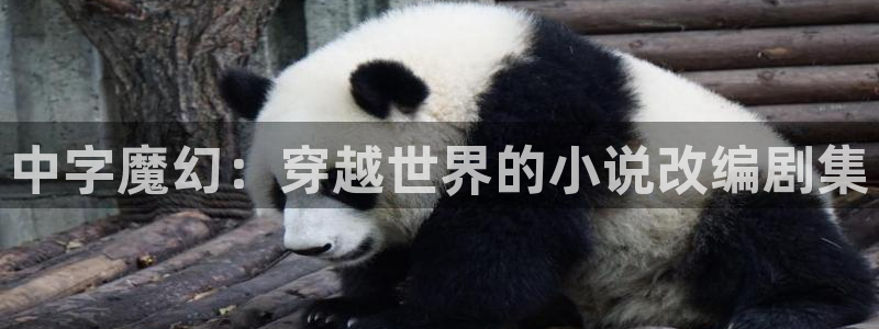 金桔视频免费下载