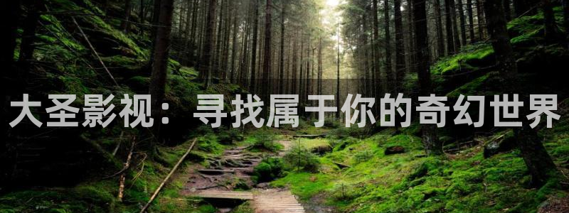 金桔影视下载安装视频