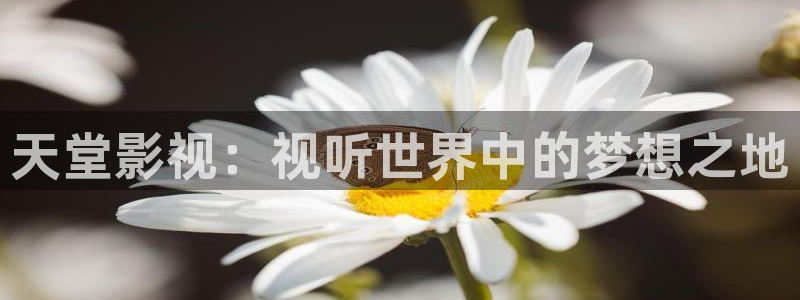 金桔影视