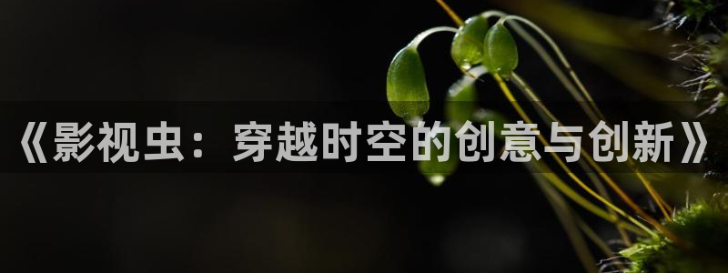 金桔影视网