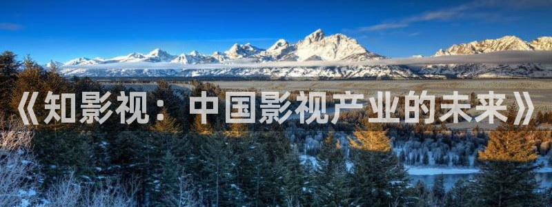 金桔电影网
